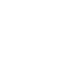 Logo H1 Bautzen